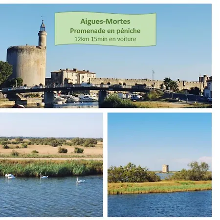 Incas Avec Parking Privé Clim Piscine - Centre-ville - Rossiconciergerie - Linge Inclus *