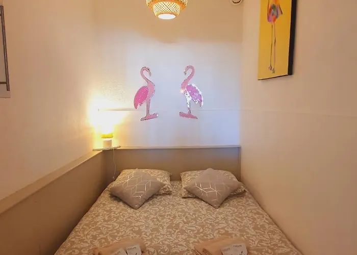 T1bis Incas Parking Clim Piscine - Centre-ville - Rossiconciergerie - Linge Inclus Διαμέρισμα Λα Γκραντ-Μοτ