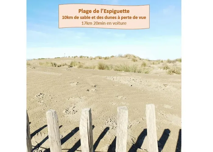 T1bis Incas Parking Clim Piscine - Centre-ville - Rossiconciergerie - Linge Inclus Διαμέρισμα *