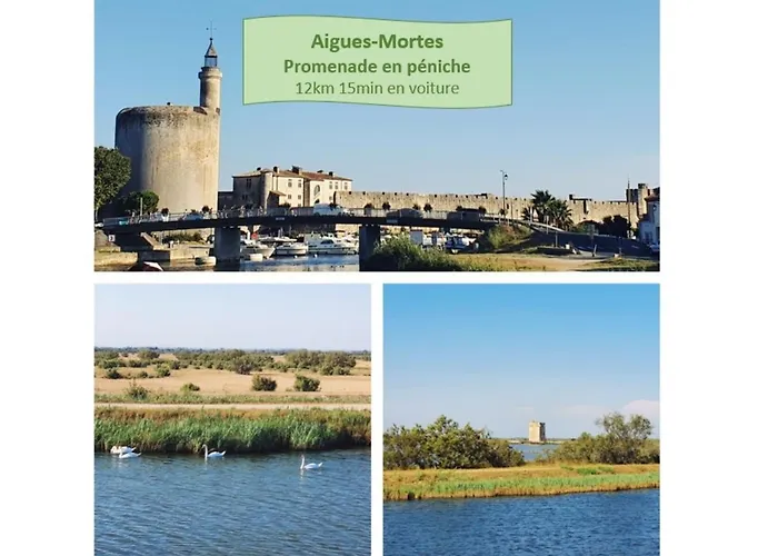 T1bis Incas Parking Clim Piscine - Centre-ville - Rossiconciergerie - Linge Inclus *
